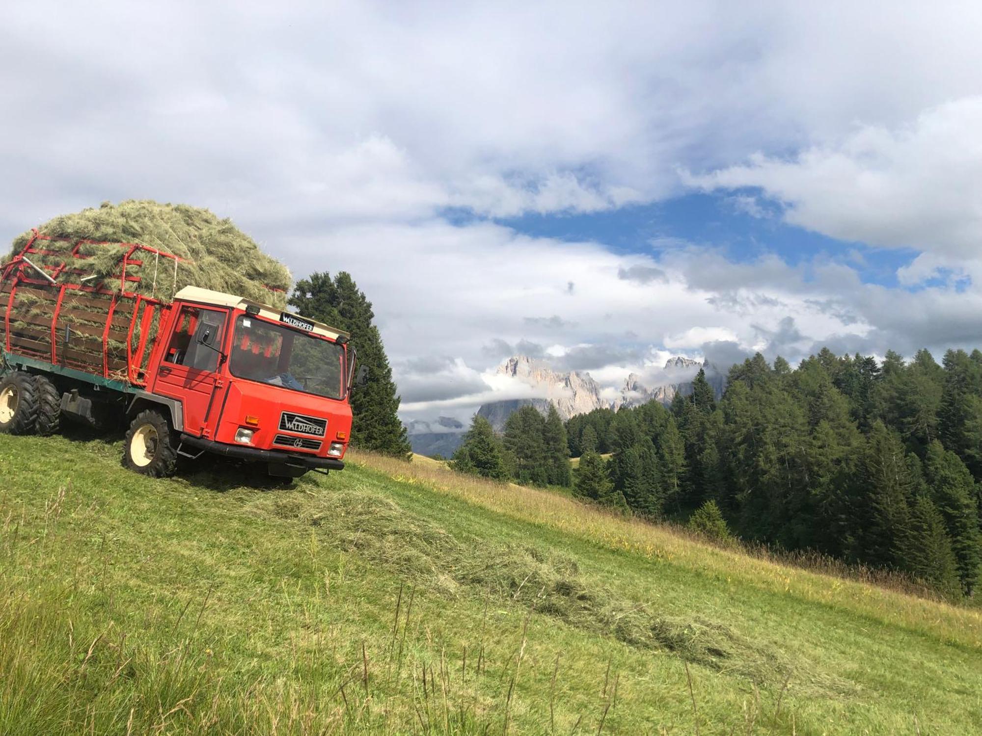 Sule Hof Agriturismo Ortisei Zewnętrze zdjęcie