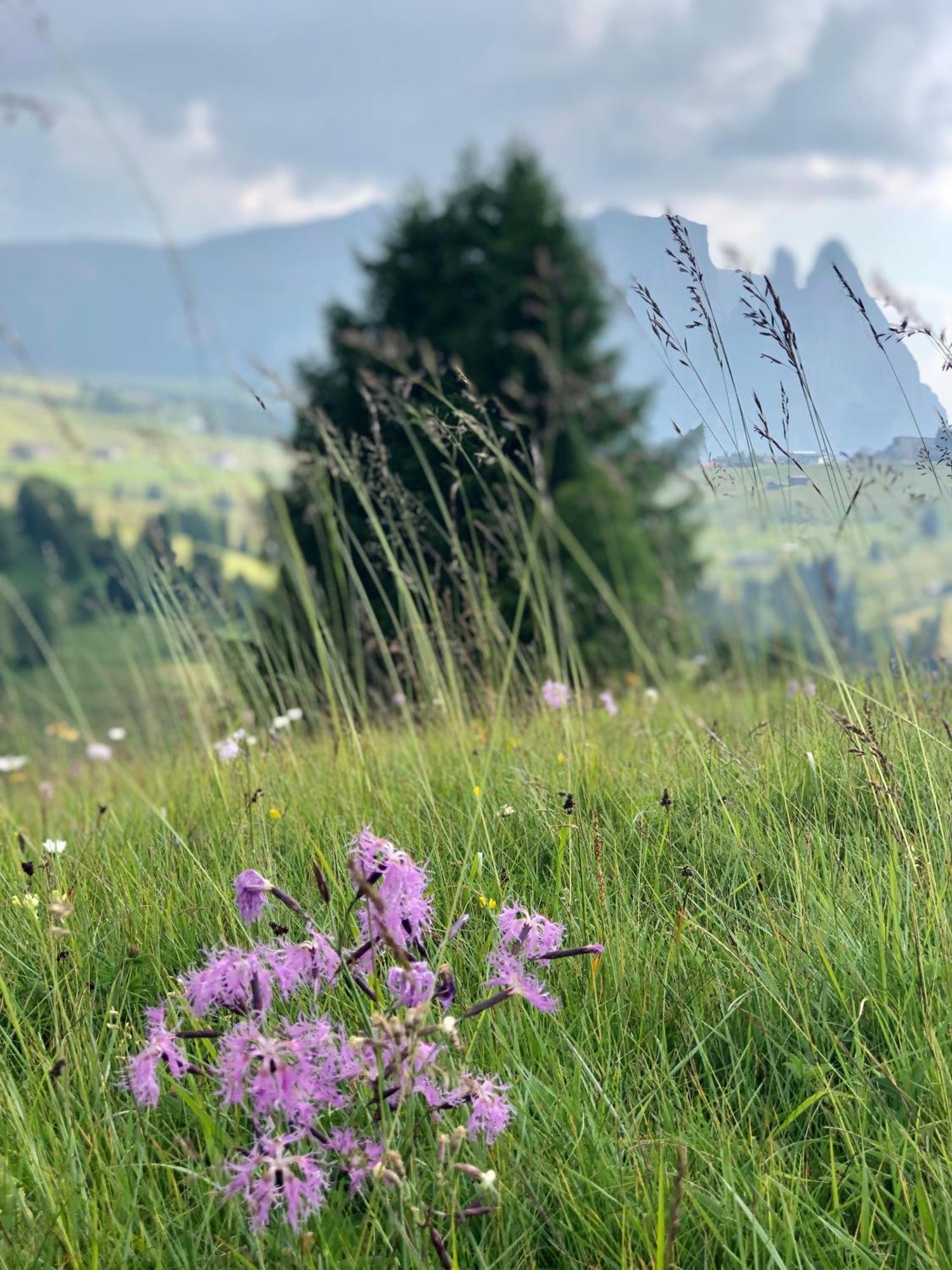 Sule Hof Agriturismo Ortisei Zewnętrze zdjęcie